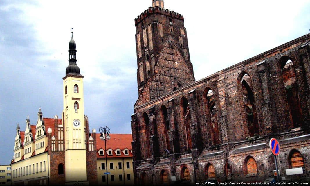 Nowy rozkład jazdy komunikacji miejskiej w Gubinie