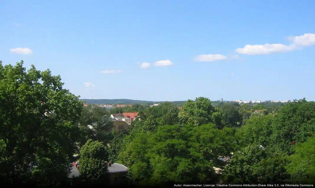 Konkurs na realizację zadań publicznych w Gubinie w 2025 roku